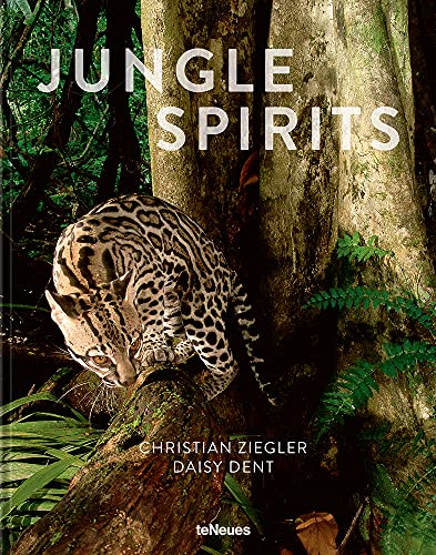 Beispielbild fr Jungle Spirits (New Revised Edition) zum Verkauf von WorldofBooks