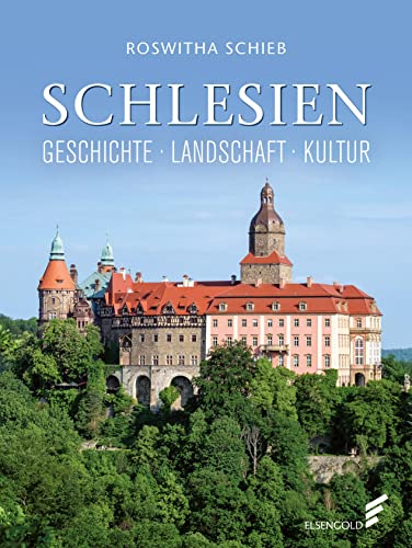 Stock image for Schlesien: Geschichte, Landschaft, Kultur for sale by Buchstube Tiffany