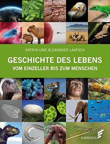 Stock image for Geschichte des Lebens: Vom Einzeller bis zum Menschen for sale by medimops