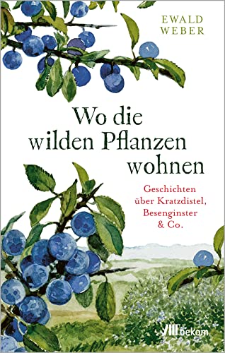 Stock image for Wo die wilden Pflanzen wohnen for sale by GreatBookPrices