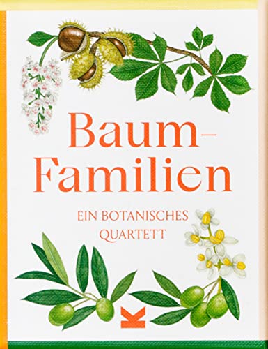 Stock image for Tree Families. A Botanical Card Game for sale by medimops