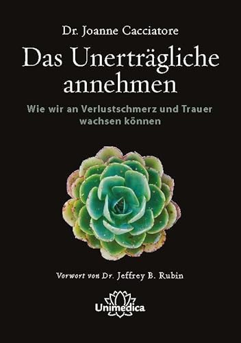 Stock image for Das unertrgliche annehmen -Language: german for sale by GreatBookPrices
