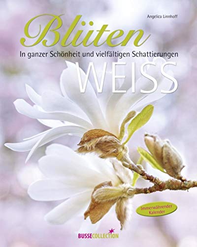 Beispielbild fr Bltenwei: In ganzer Schnheit und vielfltigen Schattierungen zum Verkauf von medimops