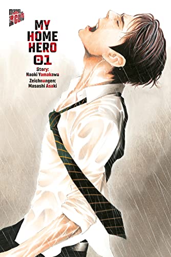 Imagen de archivo de My Home Hero 1 a la venta por GreatBookPrices