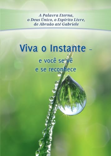 Imagen de archivo de Viva o Instante: e voc se v e se reconhece (Portuguese Edition) a la venta por California Books