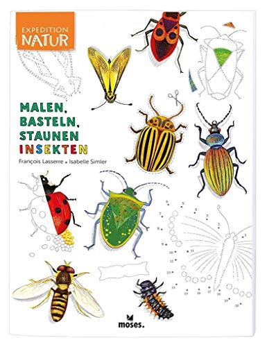 Beispielbild fr Expedition Natur: Malen, Basteln, Staunen - Insekten zum Verkauf von medimops