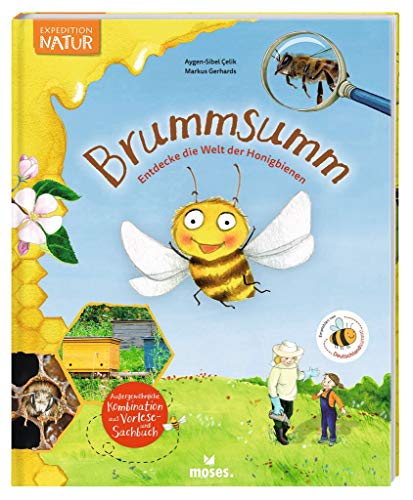 Stock image for Brummsumm: Entdecke die Welt der Honigbiene for sale by medimops