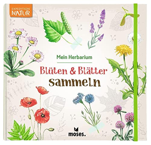 Stock image for Blten & Bltter sammeln for sale by GreatBookPrices