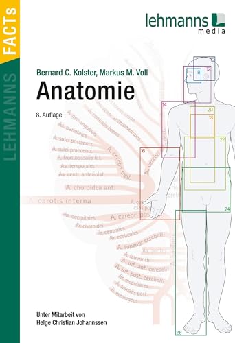 Beispielbild fr Anatomie -Language: german zum Verkauf von GreatBookPrices