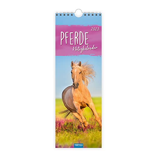 Stock image for Trtsch Streifenkalender Pferde 2023: Wandkalender Notizkalender for sale by medimops