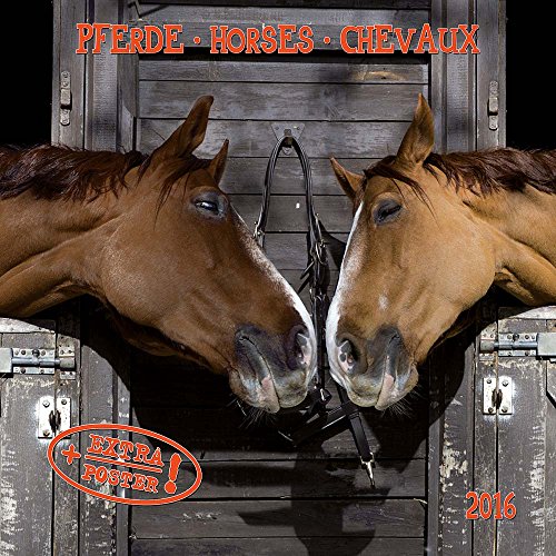 Beispielbild fr Horses/Pferde 2022: Kalender 2022 (Artwork Media) zum Verkauf von medimops
