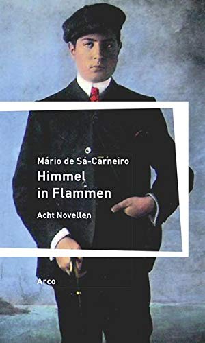 Stock image for Himmel in Flammen: Acht Novellen Aus dem Portugiesischen von Magnus Chrapkowski. Deutsche Erstausgabe. for sale by medimops