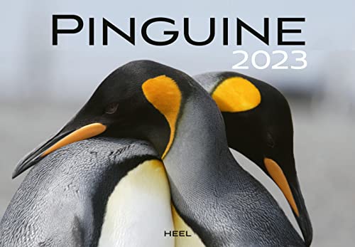 9783966644471: Pinguine 2023