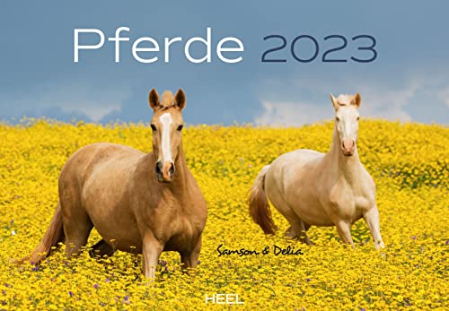 Stock image for Pferde 2023: Der sympathische Pferde-Kalender mit den charmanten Namen for sale by medimops