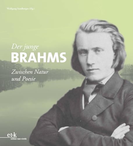 Stock image for Der junge Brahms for sale by GreatBookPrices