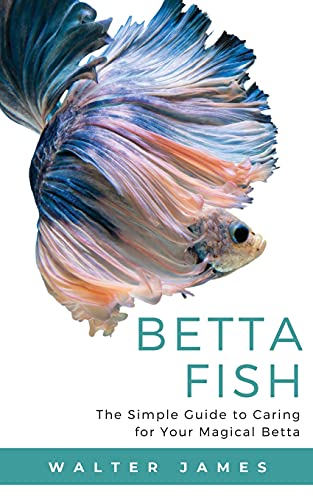 9783967720075: Betta Fish: The Simple Guide to Caring for Your Magical Betta