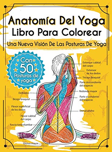 Beispielbild fr Anatoma Del Yoga Libro Para Colorear: Una Nueva Visi n De Las Posturas De Yoga (Spanish Edition) zum Verkauf von PlumCircle