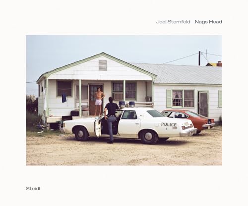 Stock image for Joel Sternfeld: Nags Head (Hardcover) for sale by Grand Eagle Retail