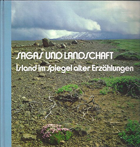 Stock image for Sagas und Landschaft. Island im Spiegel alter Erzhlungen for sale by Paderbuch e.Kfm. Inh. Ralf R. Eichmann