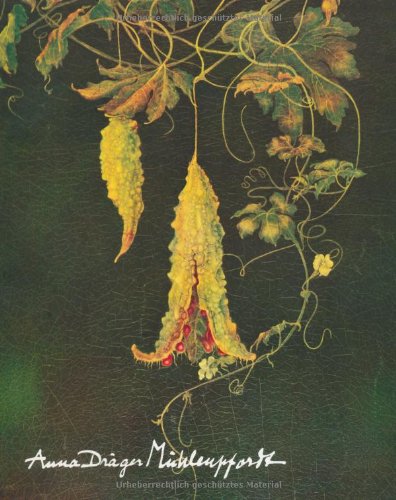 Beispielbild fr Anna Drger-Mhlenpfordt. Gemlde, Zeichnungen Druckgraphik 1908-1980 zum Verkauf von medimops
