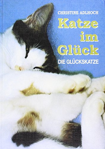 Beispielbild fr Katze im Glck Die Glckskatze zum Verkauf von Buchpark