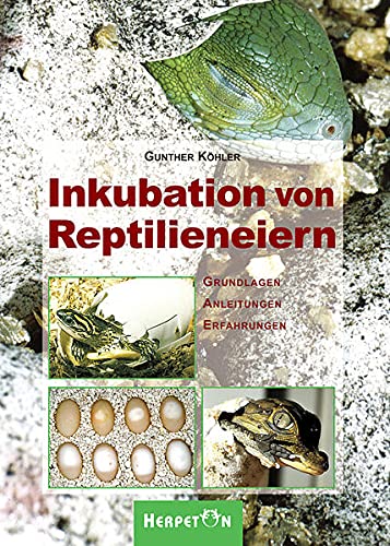 Beispielbild fr Inkubation von Reptilieneiern. Grundlagen Anleitungen Erfahrungen. zum Verkauf von medimops