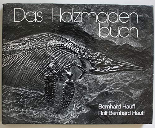 9783980549110: Das Holzmadenbuch (Livre en allemand)