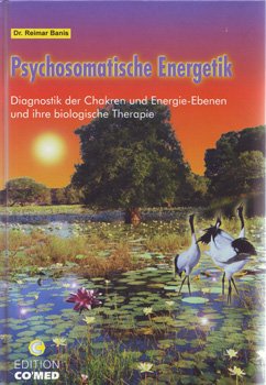 9783980573948: Psychosomatische Energetik Diagnostik der Chakren und Energie-Ebenen