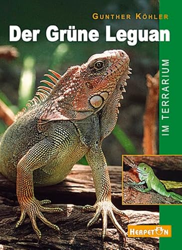 Beispielbild fr Der Grne Leguan im Terrarium zum Verkauf von medimops