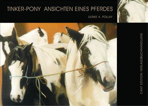 Tinker-Pony. Ansichten eines Pferdes. - Ulrike A. Pollay