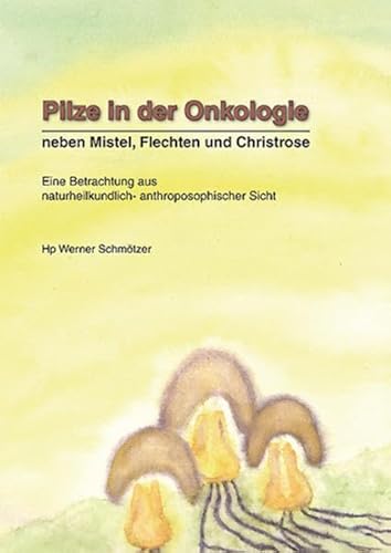 Stock image for Pilze in der Onkologie: Neben Mistel, Flechten und Christrose for sale by medimops