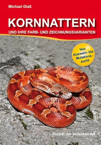 Beispielbild fr Kornnattern und ihre Farb- und Zeichnungsvarianten zum Verkauf von Buchmarie