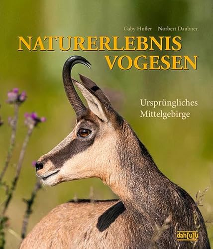 Imagen de archivo de NATURERLEBNIS VOGESEN: Ursprngliches Mittelgebirge a la venta por GF Books, Inc.