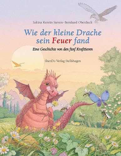 Stock image for Wie der kleine Drache sein Feuer fand for sale by GreatBookPrices