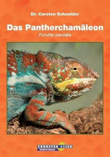 Das Pantherchamäleon | Furcifer pardalis - Carsten Schneider