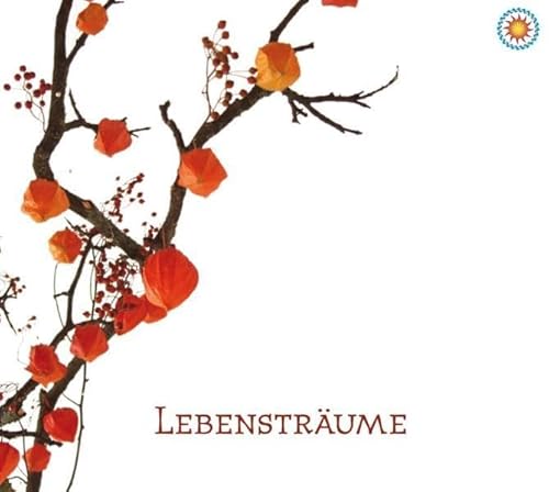 Stock image for CD Lebenstrume: eine gefhrte Meditation zur Entspannung und zum Trumen for sale by medimops