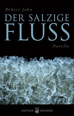 Stock image for Der salzige Fluss: Eine Novelle for sale by medimops