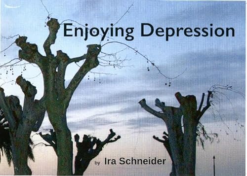 Stock image for Enjoying Depression for sale by medimops