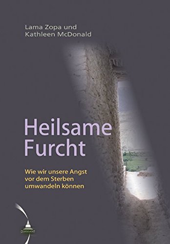 Stock image for Heilsame Furcht: Wie wir unsere Angst vor dem Sterben umwandeln knnen for sale by medimops