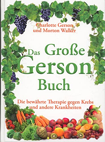 Stock image for Das Groe Gerson Buch: Die bewhrte Therapie gegen Krebs und andere Krankheiten for sale by medimops