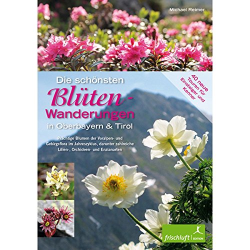 9783981460544: Die schnsten Blten-Wanderungen in Oberbayern & Tirol 02: 40 neue Touren fr Einsteiger und Kenner Prchtige Blumen der Voralpen- und Gebirgsflora ... Lilien-, Orchideen- und Enzianarten