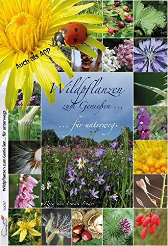 Stock image for Wildpflanzen zum Genieen. -Language: german for sale by GreatBookPrices