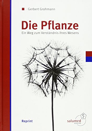 Imagen de archivo de Die Pflanze -Language: german a la venta por GreatBookPrices