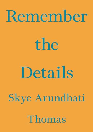9783981910865: Remember the Details (Critic's Essay Series)