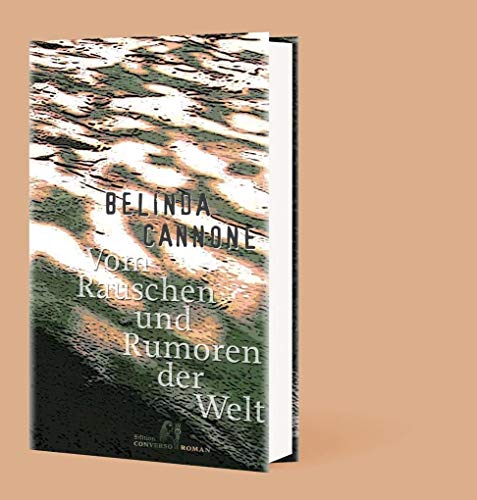 9783981976342: Vom Rauschen und Rumoren der Welt