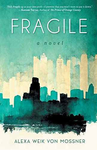 Beispielbild fr Fragile: A Novel zum Verkauf von GreatBookPrices