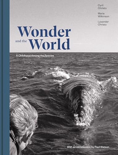 Stock image for Wonder and the World for sale by GreatBookPrices