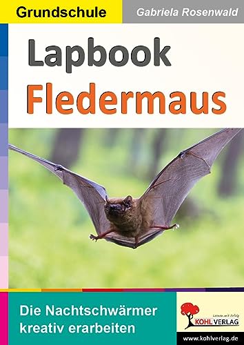 Beispielbild fr Lapbooks Fledermaus zum Verkauf von GreatBookPrices