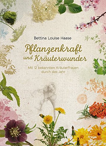 Beispielbild fr Pflanzenkraft und Kruterwunder: Mit Deutschlands bekanntesten Kruterfrauen durch das Jahr zum Verkauf von medimops
