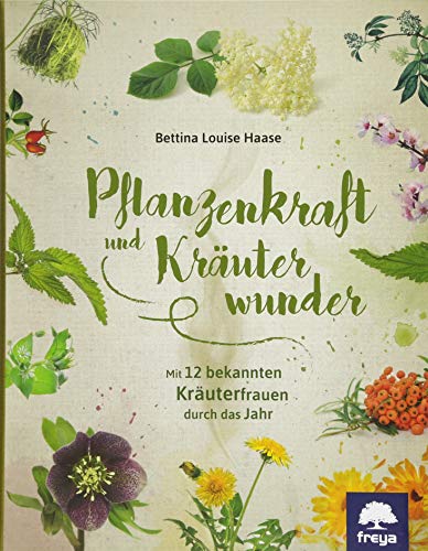 Beispielbild fr Haase, B: Pflanzenkraft und Kruterwunder zum Verkauf von Blackwell's